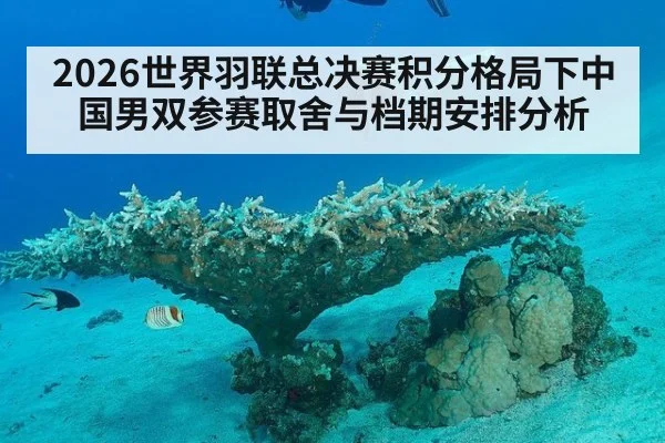 2026世界羽联总决赛积分格局下中国男双参赛取舍与档期安排分析